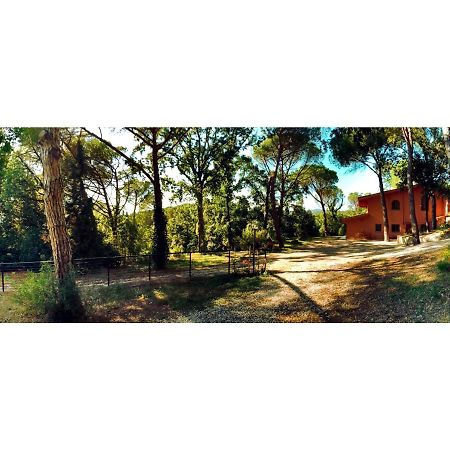 מונטלופו פיורנטינו Agriturismo Poggio Al Pino מראה חיצוני תמונה